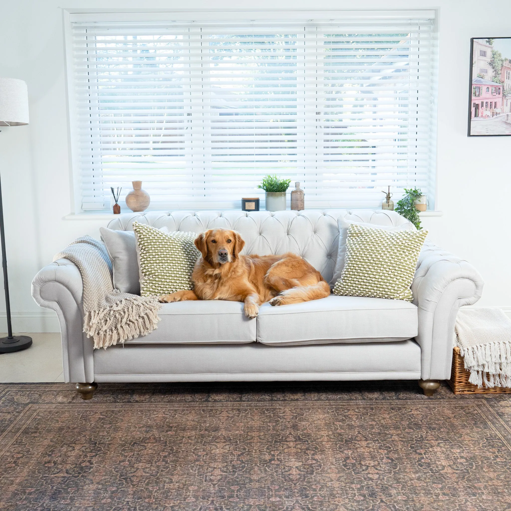 Chesterfield 3 Seat Sofa in Warm Grey