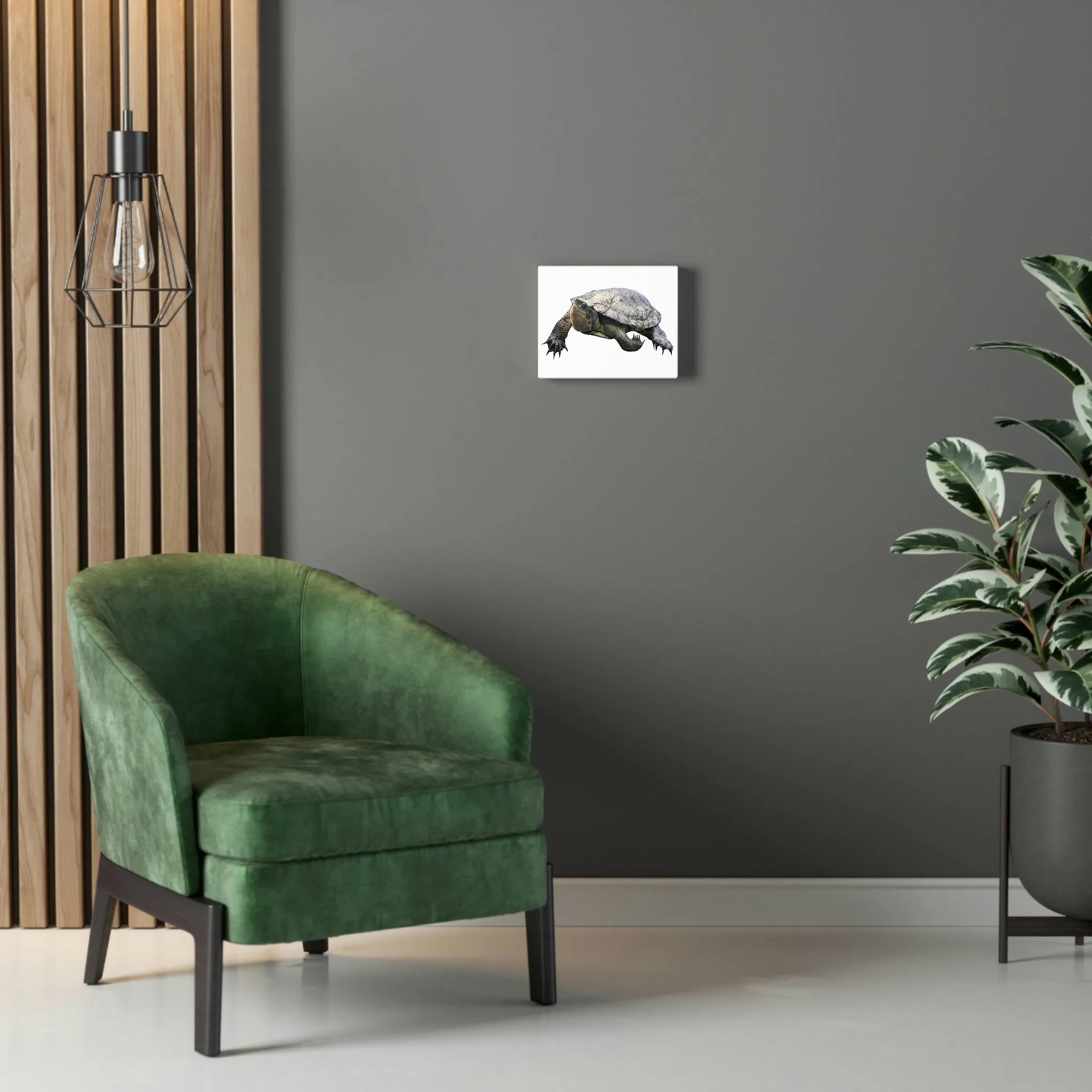 Turtle Stretched Canvas